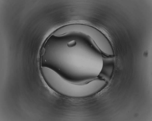 X0000091061046200708271152