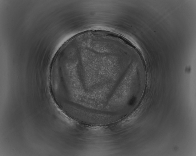X0000091061048200708271152