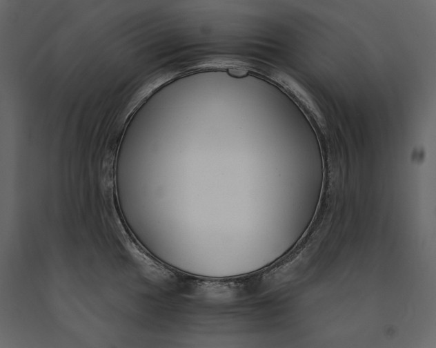 X0000091061049200708271152