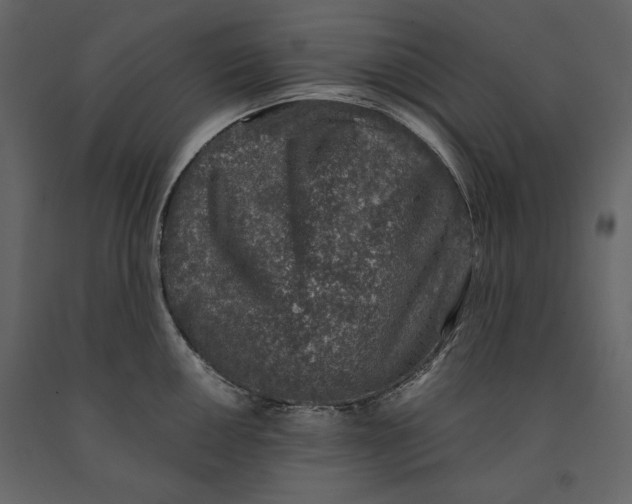 X0000091061050200708271152