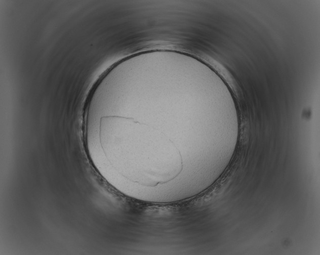 X0000091061051200708271152