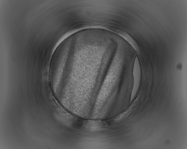 X0000091061052200708271152