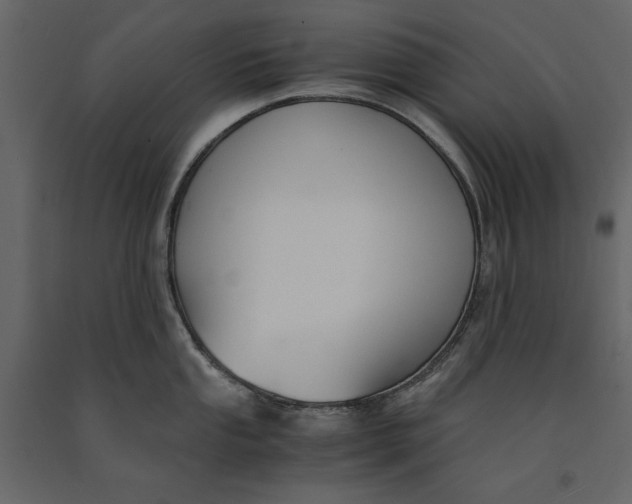 X0000091061053200708271152