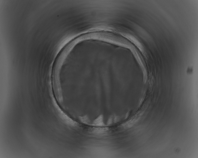 X0000091061055200708271152