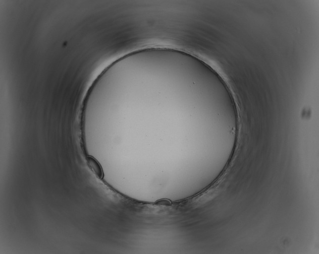 X0000091061056200708271152