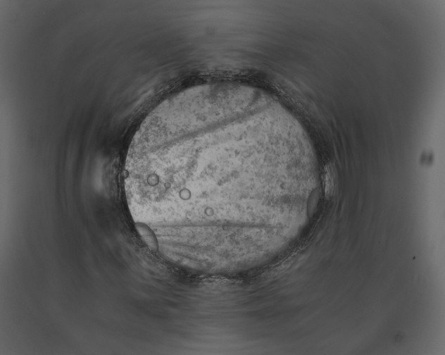 X0000091061059200708271151