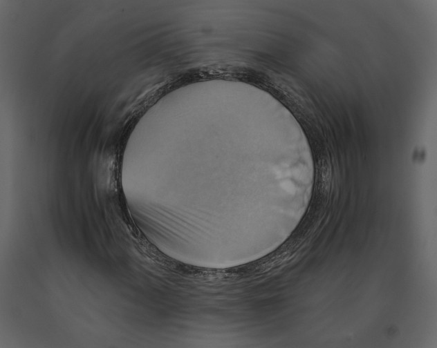 X0000091061060200708271151