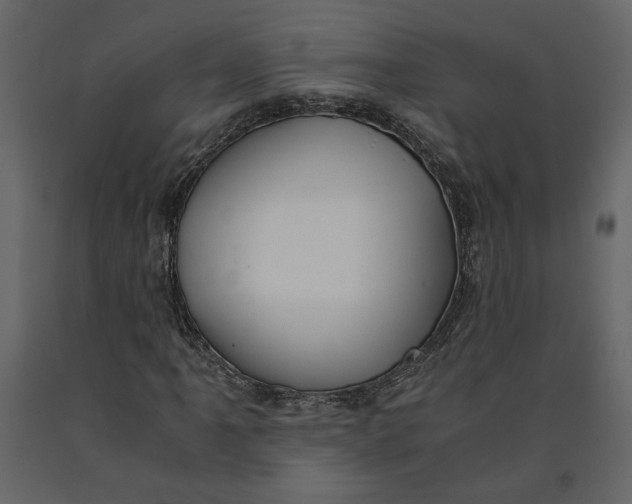 X0000091061061200708271151