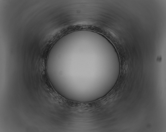 X0000091061062200708271151