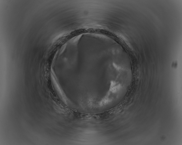 X0000091061063200708271151