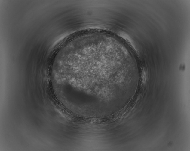 X0000091061064200708271151