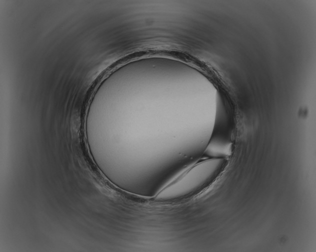 X0000091061065200708271151