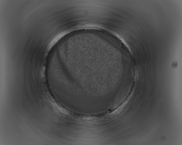 X0000091061066200708271151
