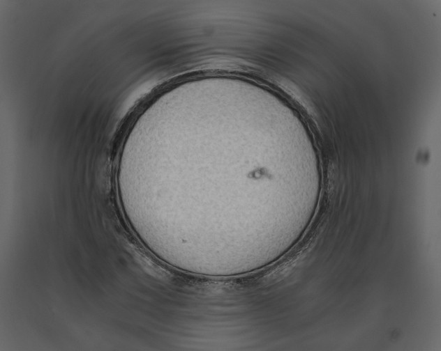 X0000091061067200708271151
