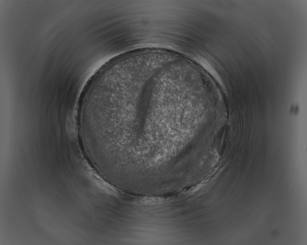 X0000091061068200708271151