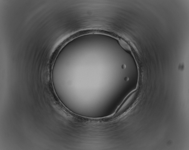 X0000091061069200708271151