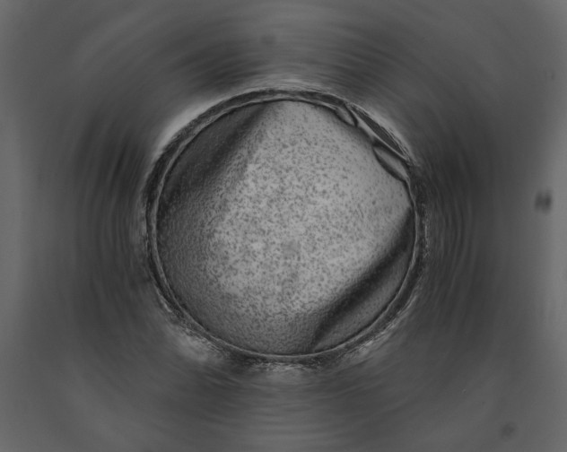 X0000091061070200708271151