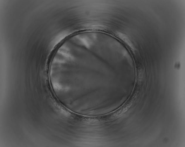 X0000091061071200708271151