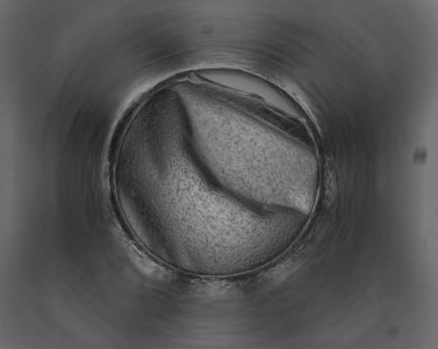 X0000091061072200708271151