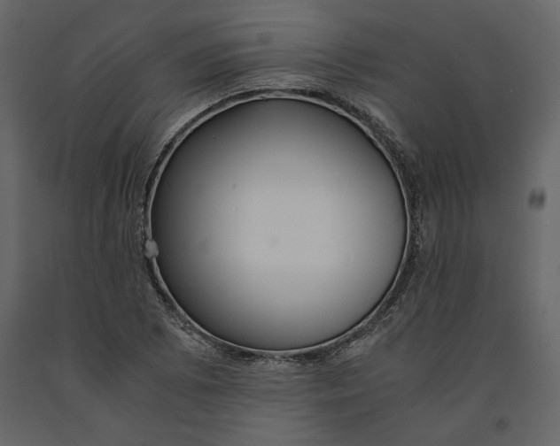 X0000091061073200708271151