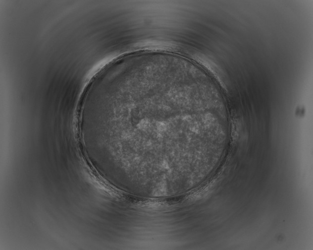 X0000091061074200708271151