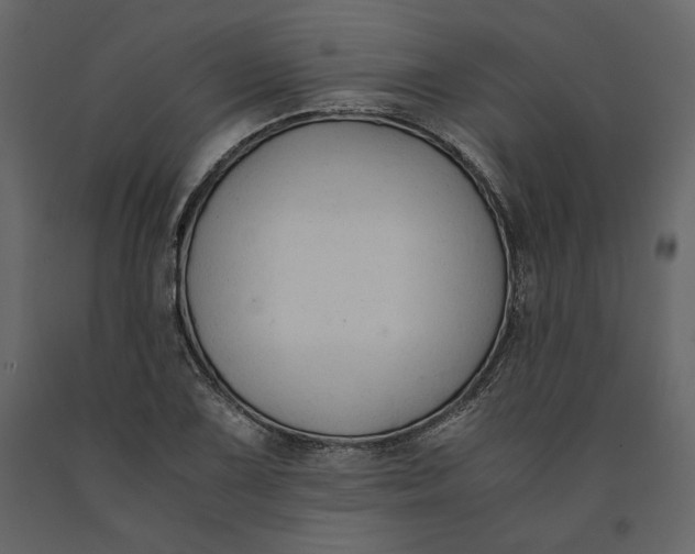 X0000091061075200708271151