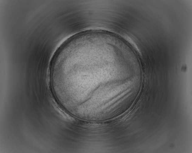 X0000091061076200708271151