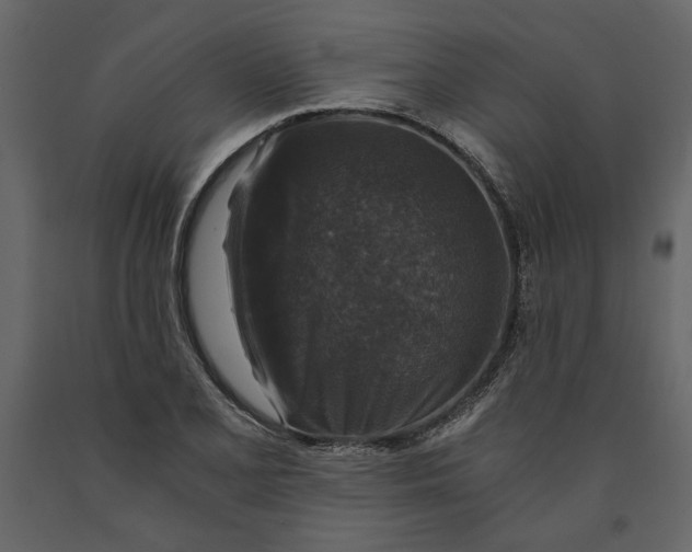 X0000091061077200708271151