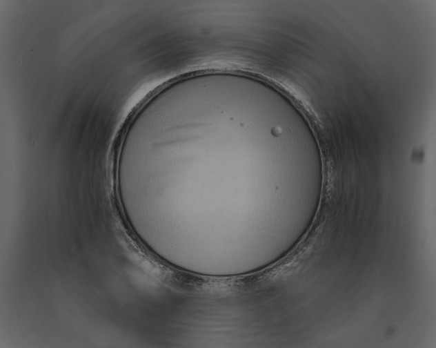 X0000091061078200708271151