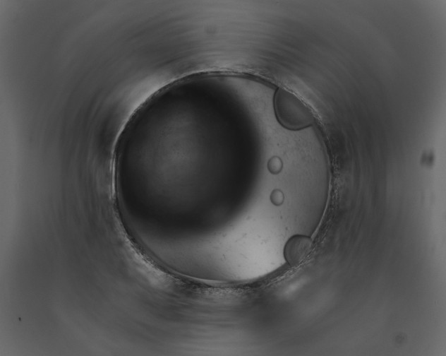X0000091061079200708271151