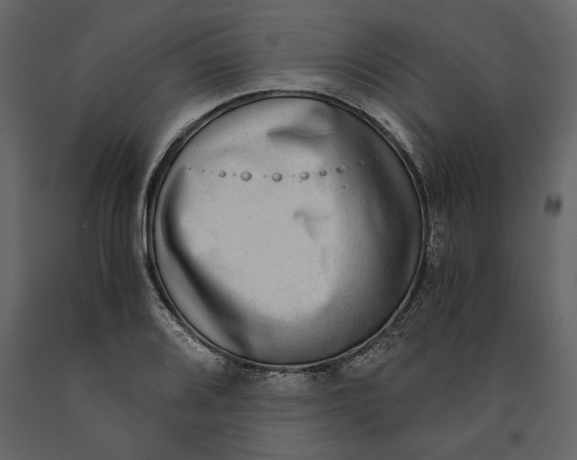 X0000091061080200708271151