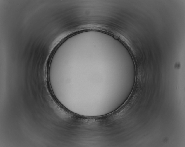 X0000091061082200708271151
