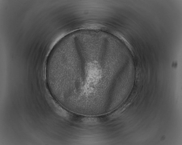 X0000091061083200708271151