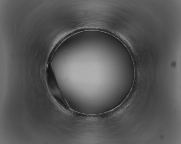 X0000091061085200708271151