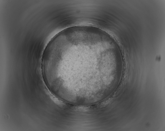 X0000091061086200708271151