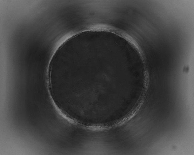 X0000091061087200708271151