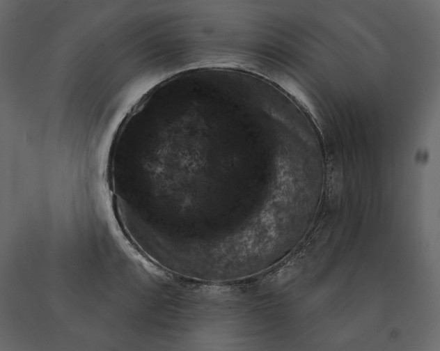 X0000091061088200708271151