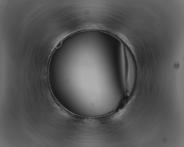 X0000091061089200708271151