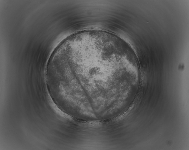 X0000091061090200708271151