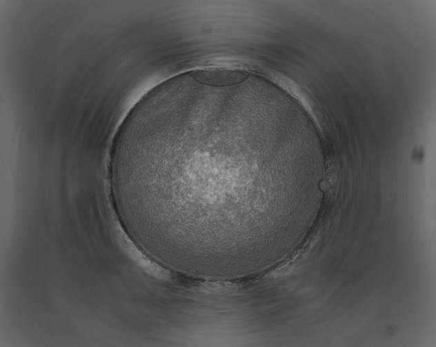 X0000091061091200708271151