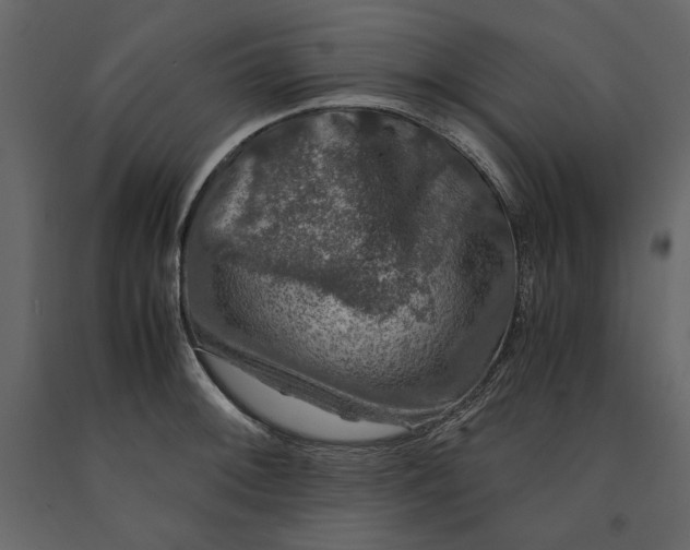 X0000091061092200708271151