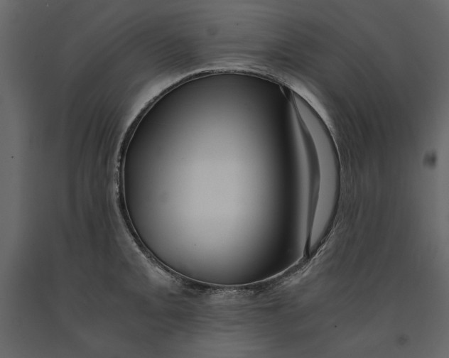 X0000091061093200708271151