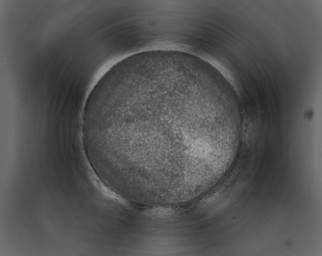 X0000091061094200708271151