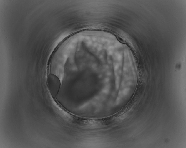 X0000091061095200708271151