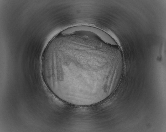 X0000091061096200708271151