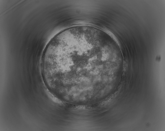 X0000091061098200708271151