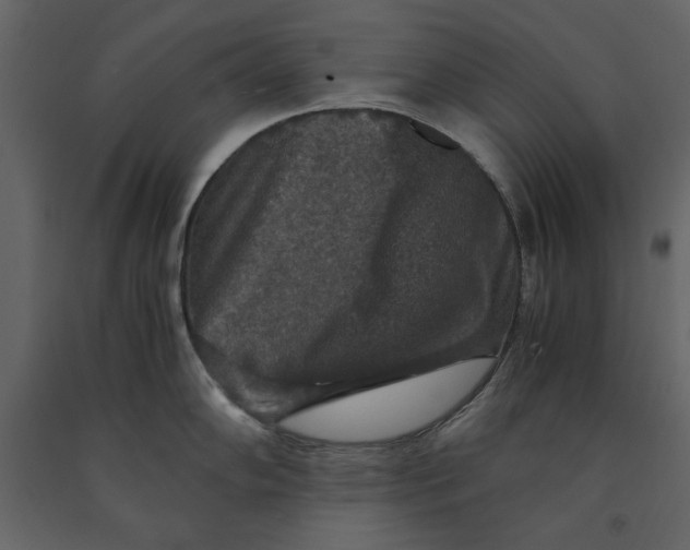 X0000091061102200708271151