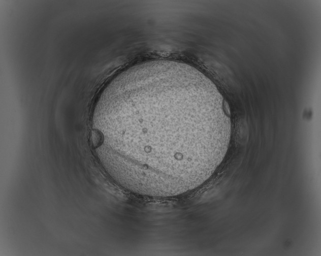 X0000091061105200708271150