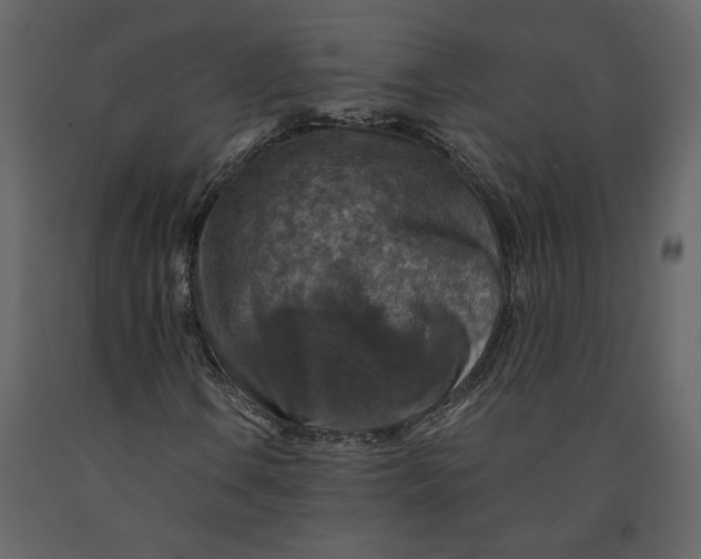 X0000091061106200708271150