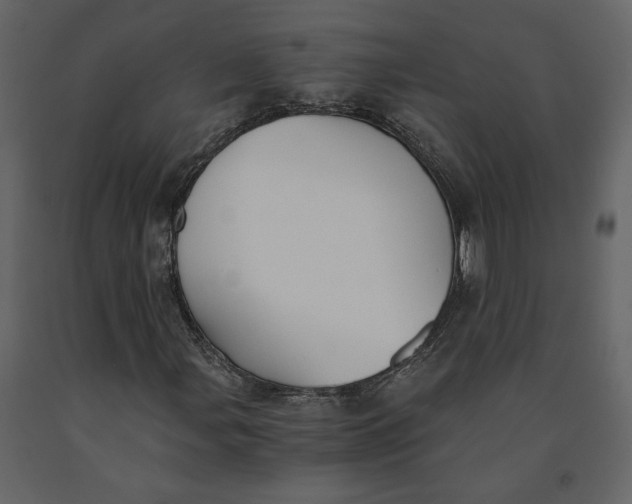 X0000091061107200708271150